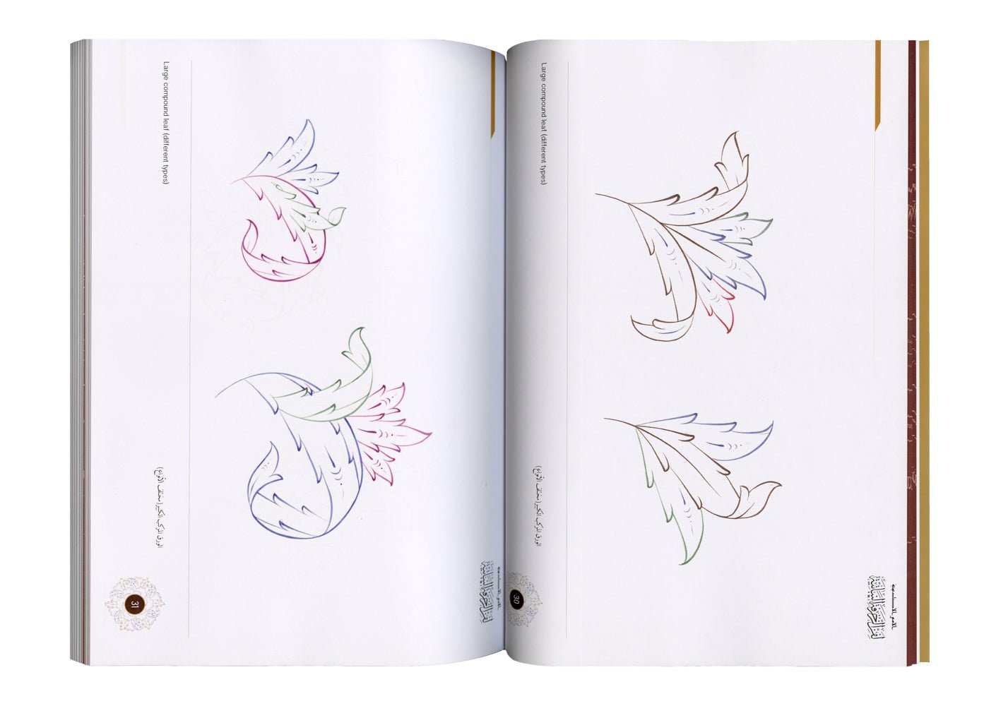 الأُسس الأكاديمية لفن الزخرفة النباتية - The Academic Foundations of Botanical Ornamentation - SOCO Store Fujairah