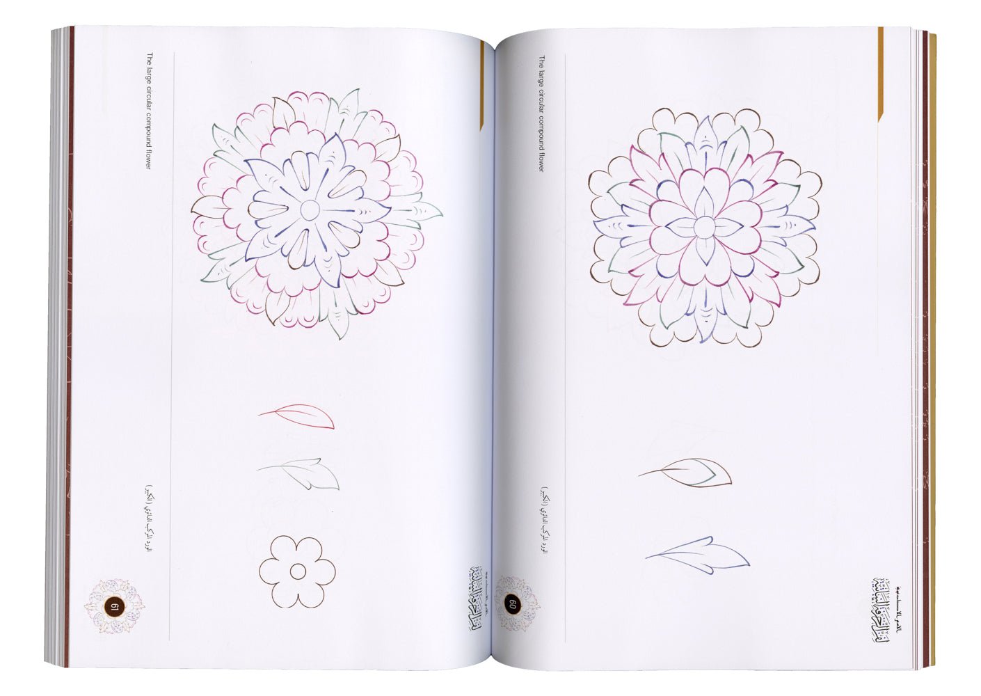 الأُسس الأكاديمية لفن الزخرفة النباتية - The Academic Foundations of Botanical Ornamentation - SOCO Store Fujairah