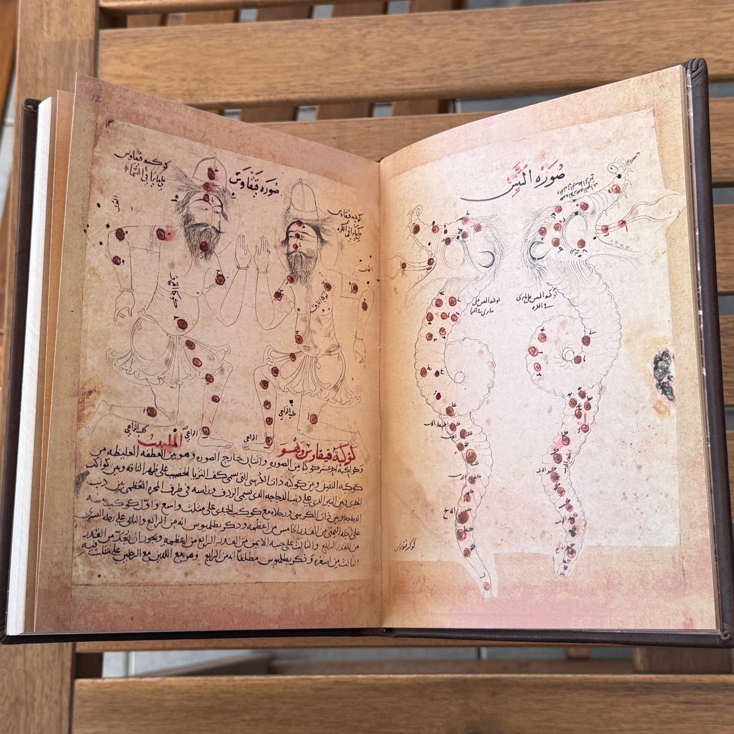 Arabic manuscript of the Book of Fixed Stars by al - Sufi - كتاب صور الكواكب الثابتة صوفي - SOCO Store Fujairah