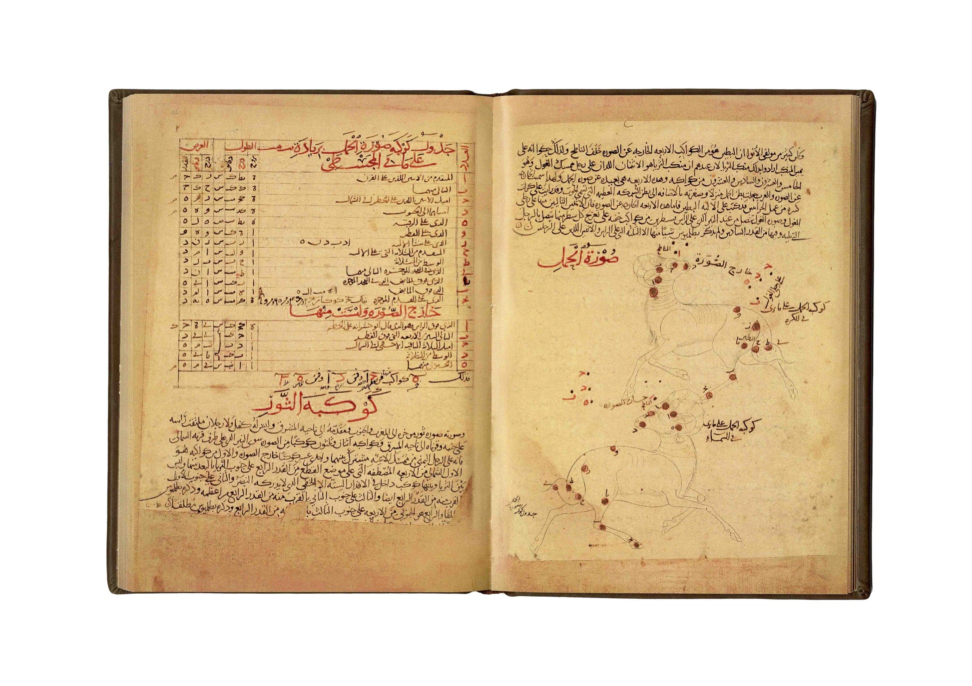 Arabic manuscript of the Book of Fixed Stars by al - Sufi - كتاب صور الكواكب الثابتة صوفي - SOCO Store Fujairah