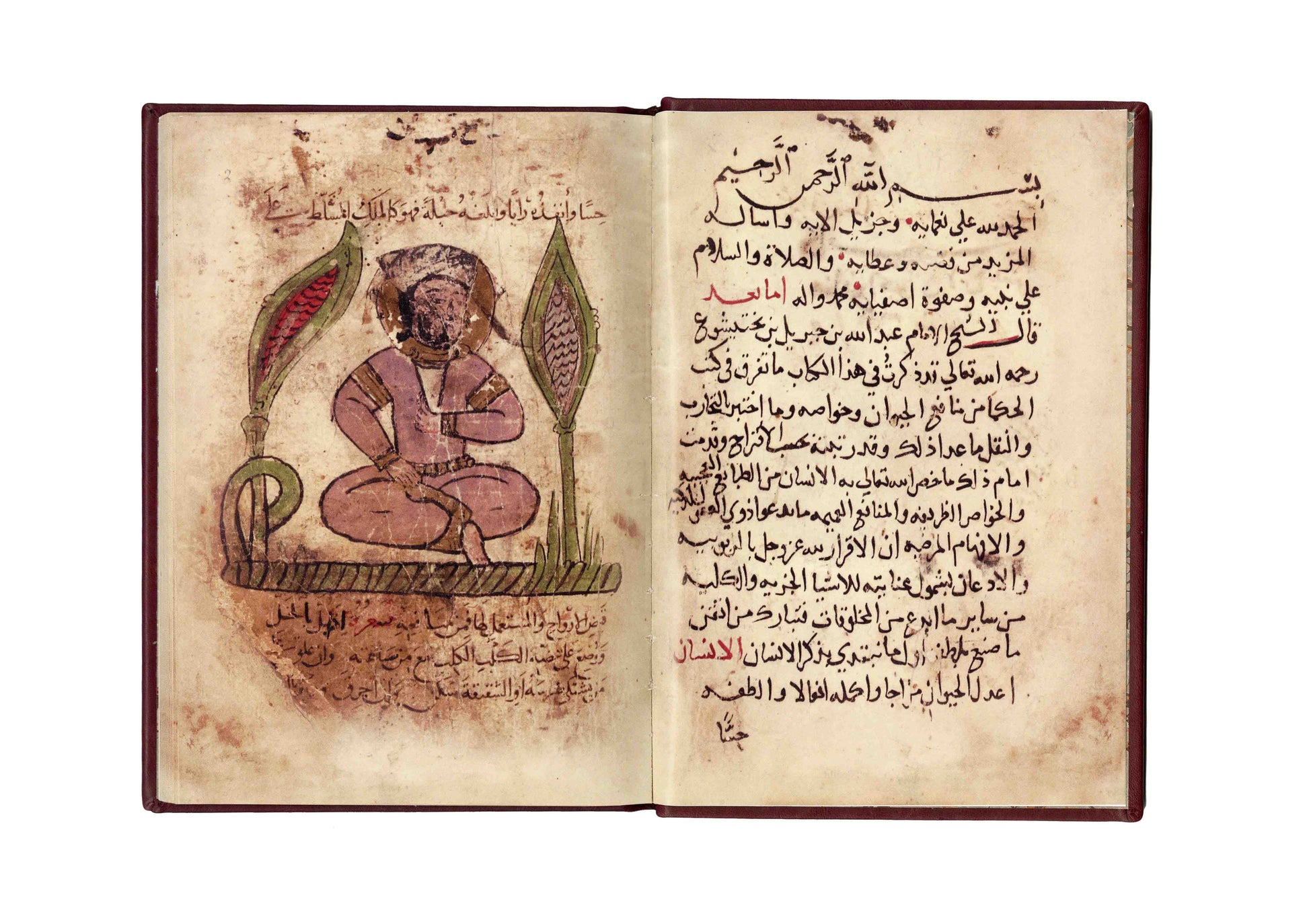 منافع الحيوان - فاكسميلي - SOCO Store Fujairah