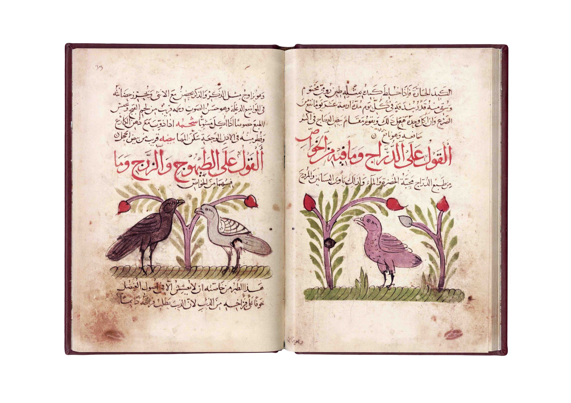 منافع الحيوان - فاكسميلي - SOCO Store Fujairah