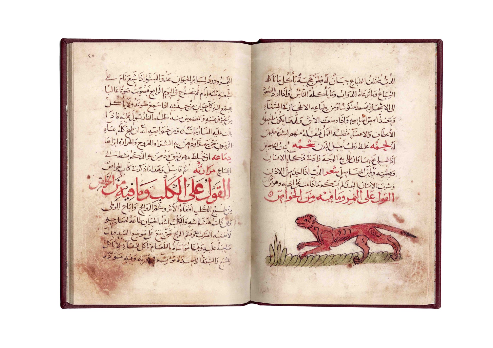 منافع الحيوان - فاكسميلي - SOCO Store Fujairah